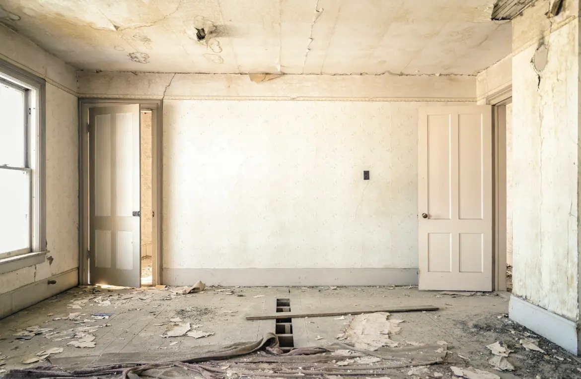 Waste disposal crew managing a cleanout project in Monee